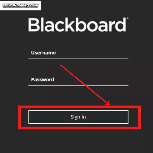 CUIMS blackboard login