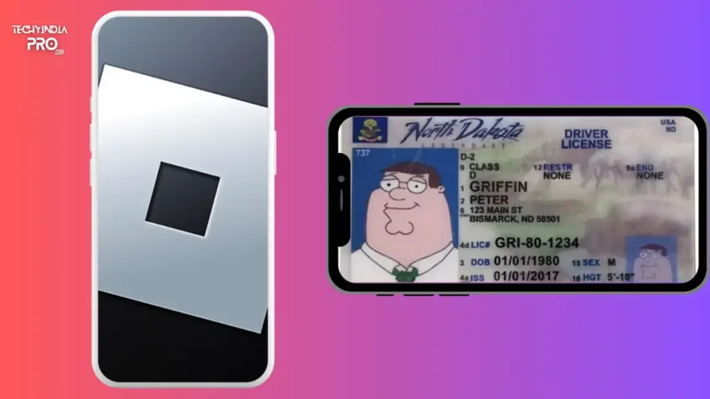 Fake id for Roblox