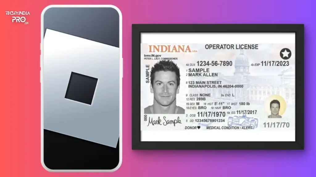 What are Roblox Fake IDs?